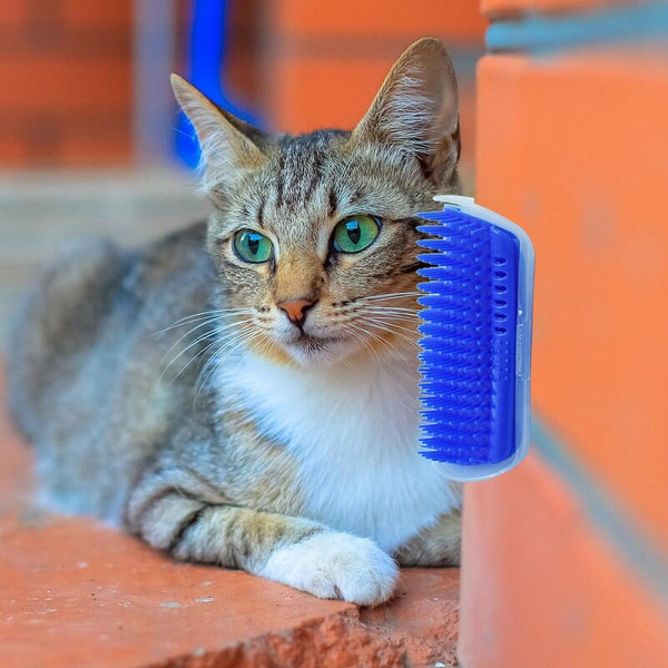 Pet Comb Removable Cat Corner Scratching