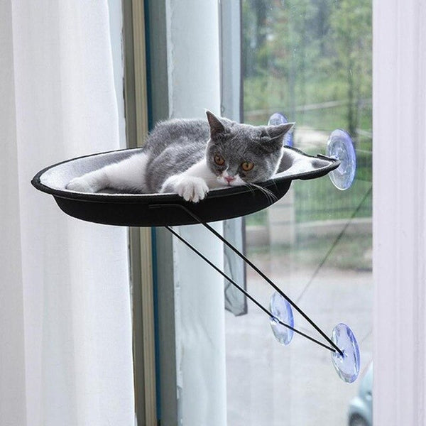 Pet Hanging Beds Cat Sunny Seat