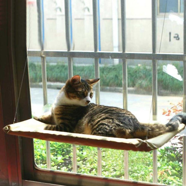 Cat Hanging Beds Cute